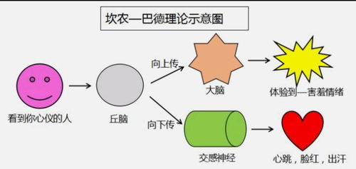 情緒解碼與平衡 心理健康咨詢(xún)中的情緒管理與健康實(shí)踐